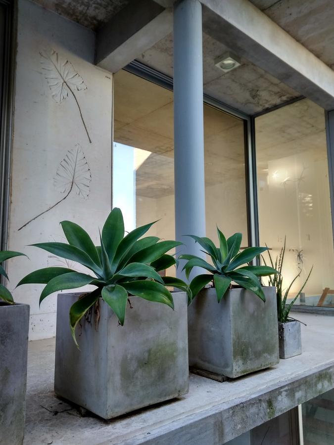 I+O "Inside And Out" Apartment Colonia del Sacramento Bagian luar foto